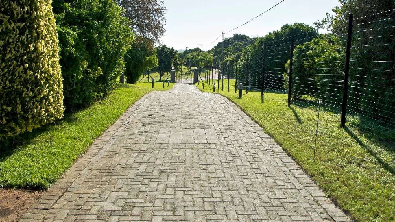 Blog post Things To Know About Textured Driveway Pavers image