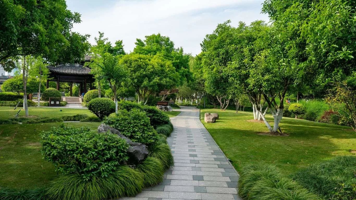 Blog post How Captain Walks Can Transform Pathways and Landscapes? image